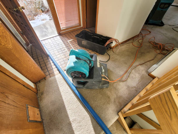 Best Ceiling water damage repair  in Scott Af, IL