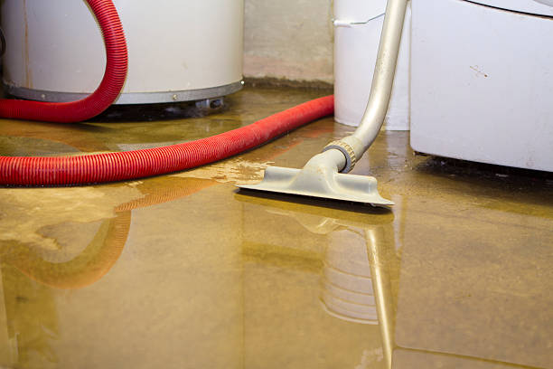 Professional Water damage restoration in IL