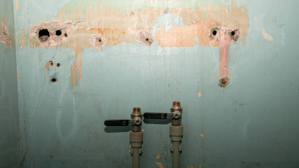Best Professional water damage repair  in Scott Af, IL