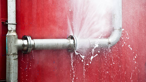 Best 24/7 water damage repair  in Scott Af, IL